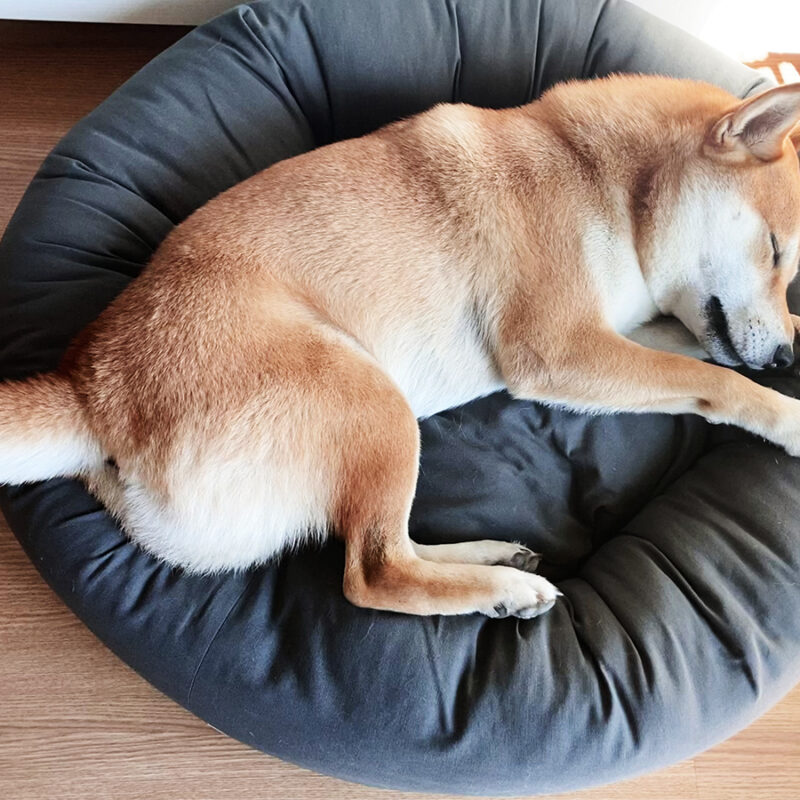 cama-donut-1-perros-2