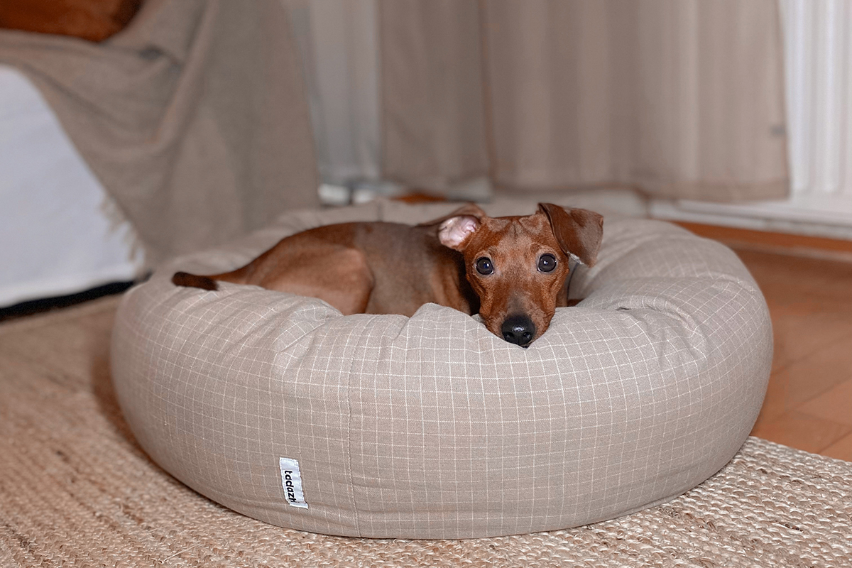 cama-donut-1-perros
