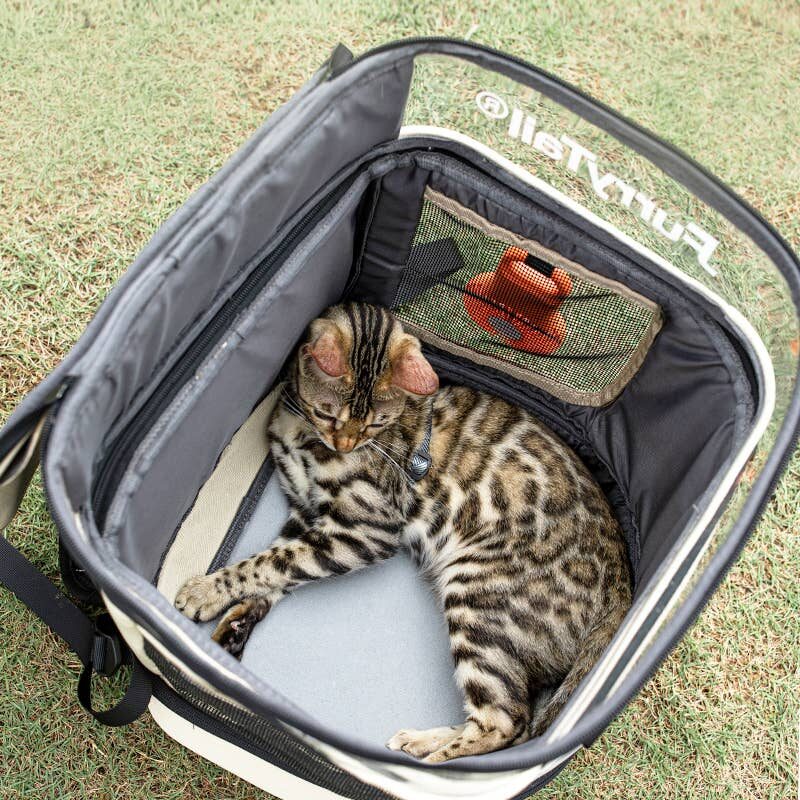 mochila-transporte-multifuncion-gatos-medidas-3